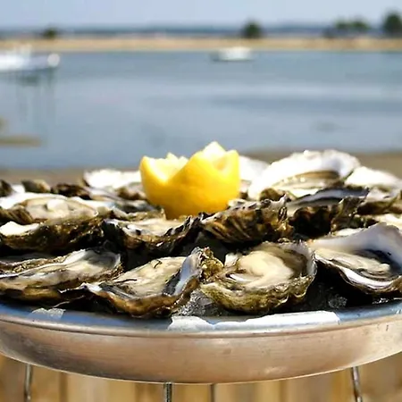 Апартаменты Vaste Avec Vue Sur Le Port De Plaisance