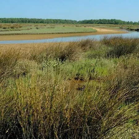דירה Vaste Avec Vue Sur Le Port De Plaisance *
