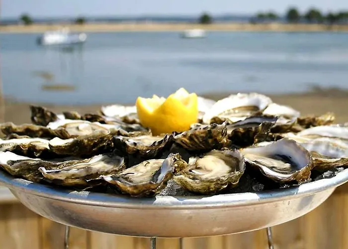 Апартаменты Vaste Avec Vue Sur Le Port De Plaisance